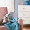 Plush Animal With Mini Plush - Panda - Cloud Island™ 2 Plush Animal With Mini Plush - Panda - Cloud Island™ -My baby GUEST 9b6b8263 e3e0 4779 bae3 a1f781f159df