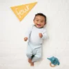 Milestone Felt Pennants - Multi Color - Cloud Island™ 2 Milestone Felt Pennants - Multi Color - Cloud Island™ -My baby GUEST d03bb6cc c2a2 41b9 ae0c cc3b214420c2