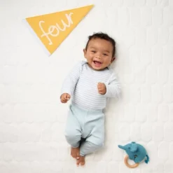 Milestone Felt Pennants - Multi Color - Cloud Island™